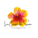 Club - Les Carnets de Sonia